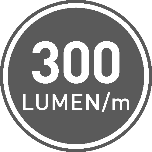 Strumień świetlny [lm/m]: 300